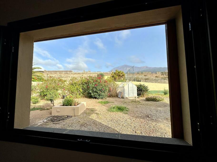 Peaceful Oasis With Magical Sea Views And A Pool Villa Santa Cruz de Tenerife Eksteriør billede