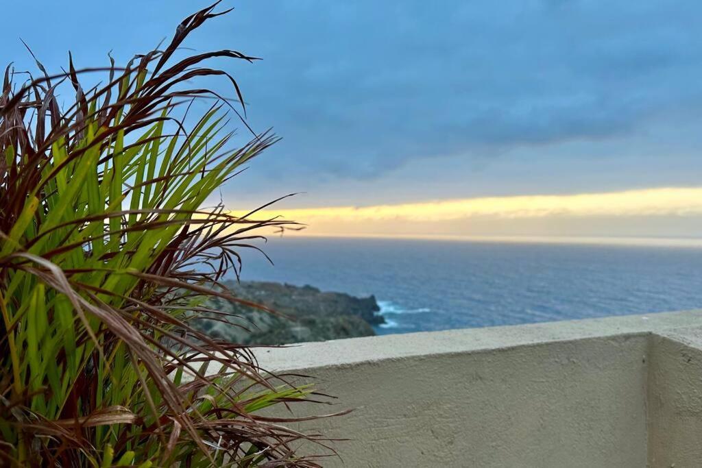 Peaceful Oasis With Magical Sea Views And A Pool Villa Santa Cruz de Tenerife Eksteriør billede