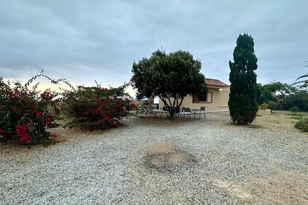 Peaceful Oasis With Magical Sea Views And A Pool Villa Santa Cruz de Tenerife Eksteriør billede