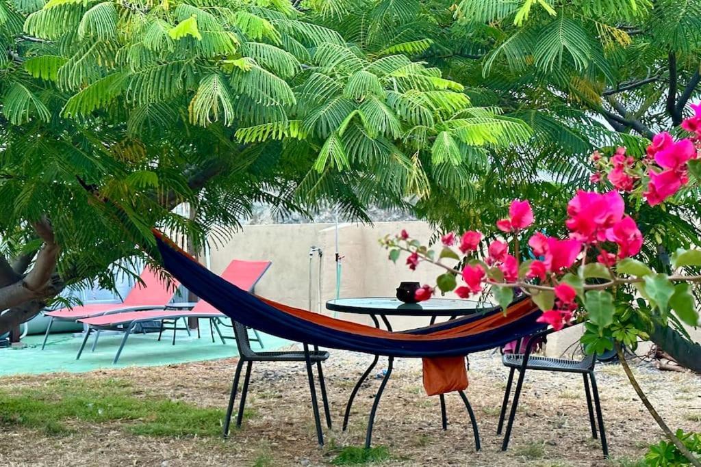 Peaceful Oasis With Magical Sea Views And A Pool Villa Santa Cruz de Tenerife Eksteriør billede