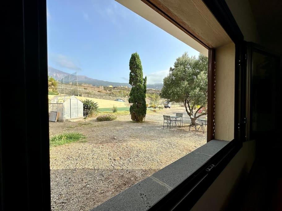 Peaceful Oasis With Magical Sea Views And A Pool Villa Santa Cruz de Tenerife Eksteriør billede